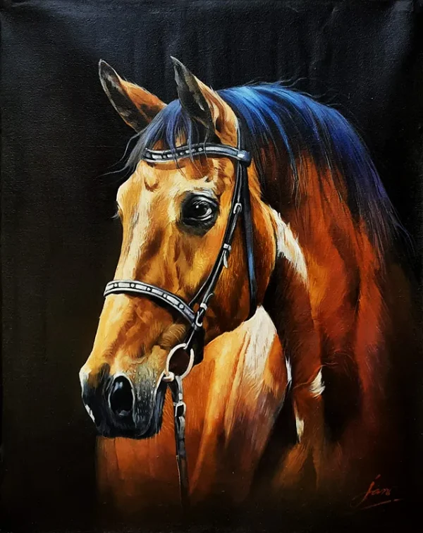 Jan Muhammad, Horses, Oil on Canvas
