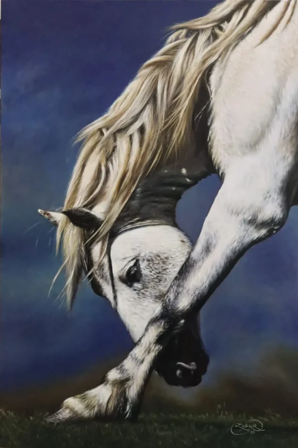 Muhammad Zubair, Horse Painting, Oil on Canvas