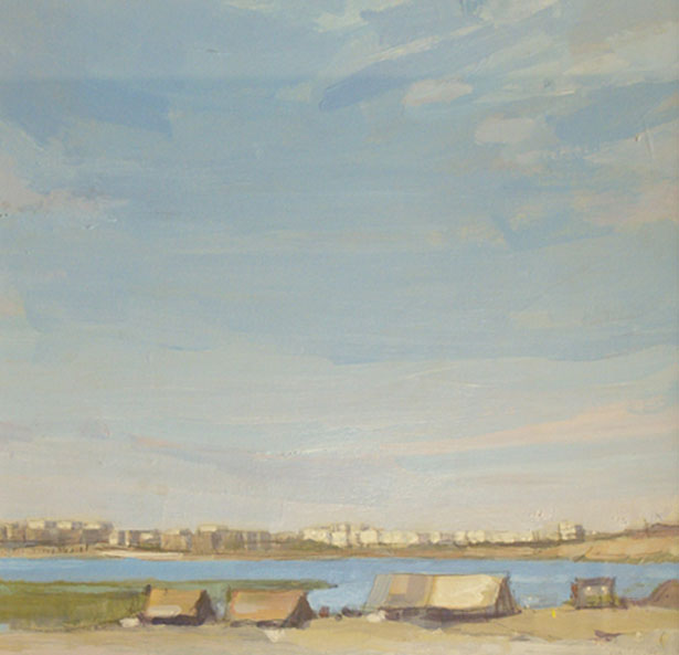 Ravi River Landscape 0081