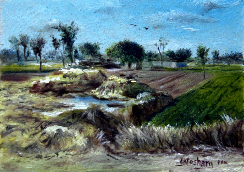 Sahiwal Village 4013